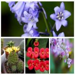 Dịch vụ đăng ký kinh doanh Nghệ An 6 Muốn đăng ký kinh doanh Nghệ An
