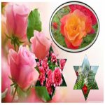 Dịch vụ đăng ký kinh doanh quán trà sữa Bình Dương 6 Đăng ký kinh doanh quán trà sữa Bình Dương