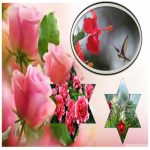 Đăng ký kinh doanh quán trà sữa Hải Dương