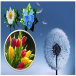 Dịch vụ đăng ký kinh doanh quán trà sữa Hòa Bình 6 Đăng ký kinh doanh quán trà sữa Hòa Bình