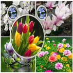 Dịch vụ đăng ký kinh doanh quán trà sữa Huyện Nhà Bè uy tín, nhanh gọn 6 Đăng ký kinh doanh quán trà sữa Huyện Nhà Bè