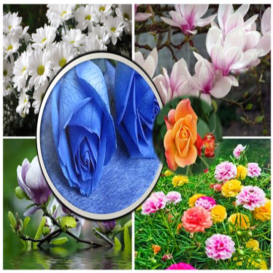 Dịch vụ đăng ký kinh doanh quán trà sữa Quận 1 5 chi phí đăng ký kinh doanh quán trà sữa Quận 1
