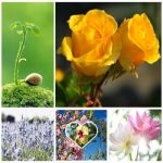 Dịch vụ đăng ký kinh doanh quán trà sữa Quận Cầu Giấy 6 Đăng ký kinh doanh quán trà sữa Quận Cầu Giấy