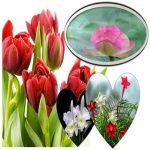 Dịch vụ đăng ký kinh doanh quán trà sữa Quận Nam Từ Liêm 6 Đăng ký kinh doanh quán trà sữa Quận Nam Từ Liêm