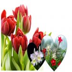Dịch vụ đăng ký kinh doanh quán trà sữa Thành phố Đà Nẵng 6 Đăng ký kinh doanh quán trà sữa Thành Phố Đà Nẵng