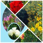 Đăng ký kinh doanh quán trà sữa Thành Phố Thủ Đức