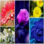 Muốn đăng ký kinh doanh Thành Phố Hà Nội