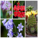 Muốn đăng ký kinh doanh Thành Phố Hải Phòng
