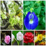 Dịch vụ đăng ký sở hữu trí tuệ tại Bắc Giang 6 Muốn đăng ký sở hữu trí tuệ tại Bắc Giang