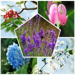 Dịch vụ đăng ký sở hữu trí tuệ tại Bắc Ninh 6 Muốn đăng ký sở hữu trí tuệ tại Bắc Ninh