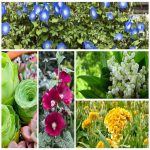 Dịch vụ đăng ký sở hữu trí tuệ tại Bình Định 6 Muốn đăng ký sở hữu trí tuệ tại Bình Định