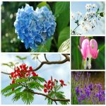 Dịch vụ đăng ký sở hữu trí tuệ tại Bình Phước 6 Muốn đăng ký sở hữu trí tuệ tại Bình Phước