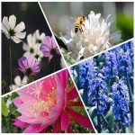 Dịch vụ đăng ký sở hữu trí tuệ tại Đà Nẵng 6 Muốn đăng ký sở hữu trí tuệ tại Đà Nẵng
