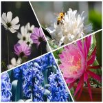 Muốn đăng ký sở hữu trí tuệ tại Lai Châu