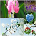 Muốn đăng ký sở hữu trí tuệ tại Quận Hoàng Mai
