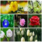 Dịch vụ đăng ký sở hữu trí tuệ tại Thừa Thiên Huế 6 Muốn đăng ký sở hữu trí tuệ tại Thừa Thiên Huế