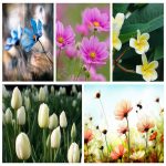 Dịch vụ giải thể công ty tại Hậu Giang trọn gói uy tín 6 Muốn giải thể công ty tại Hậu Giang