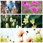 Muốn giải thể công ty tại Nghệ An