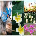 Dịch vụ giải thể công ty tại Ninh Thuận trọn gói uy tín 6 Muốn giải thể công ty tại Ninh Thuận