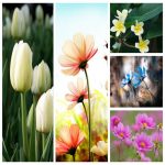 Dịch vụ giải thể công ty tại Phú Thọ trọn gói uy tín 6 Muốn giải thể công ty tại Phú Thọ