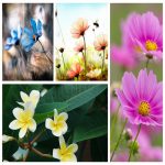 Dịch vụ giải thể công ty tại Quận Cầu Giấy trọn gói uy tín 6 Muốn giải thể công ty tại Quận Cầu Giấy