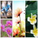 Dịch vụ giải thể công ty tại Quận Hoàng Mai trọn gói uy tín 6 Muốn giải thể công ty tại Quận Hoàng Mai