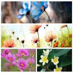 Muốn giải thể công ty tại Quận Nam Từ Liêm