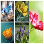 Muốn giải thể công ty tại Quận Ninh Kiều