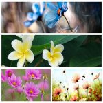 Dịch vụ giải thể công ty tại Quận Tây Hồ trọn gói uy tín 6 Muốn giải thể công ty tại Quận Tây Hồ