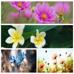 Muốn giải thể công ty tại Quận Thanh Xuân