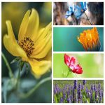 Dịch vụ giải thể công ty tại Quảng Ninh trọn gói uy tín 6 Muốn giải thể công ty tại Quảng Ninh