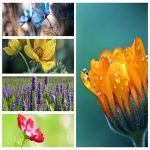 Dịch vụ giải thể công ty tại Thái Nguyên trọn gói uy tín 6 Muốn giải thể công ty tại Thái Nguyên