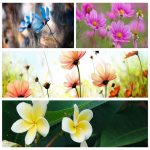 Dịch vụ giải thể công ty tại Thị Xã Sơn Tây trọn gói uy tín 6 Muốn giải thể công ty tại Thị Xã Sơn Tây