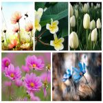 Muốn giải thể công ty tại Thừa Thiên Huế