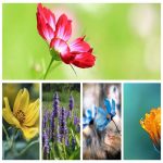 Muốn giải thể công ty tại Yên Bái