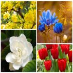 Dịch vụ kế toán tại Huyện An Dương tỉnh Hải Phòng 6 Dịch vụ kế toán tại Huyện An Dương