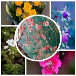 Dịch vụ kế toán tại Huyện Bình Chánh tỉnh TPHCM 6 Dịch vụ kế toán tại Huyện Bình Chánh
