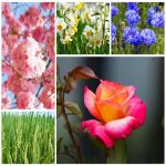Dịch vụ kế toán tại Huyện Cần Giờ tỉnh TPHCM 6 Dịch vụ kế toán tại Huyện Cần Giờ