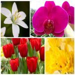Dịch vụ kế toán tại Huyện Chương Mỹ tỉnh Hà Nội 6 Dịch vụ kế toán tại Huyện Chương Mỹ