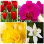 Dịch vụ kế toán tại Huyện Đan Phượng tỉnh Hà Nội 6 Dịch vụ kế toán tại Huyện Đan Phượng