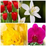Dịch vụ kế toán tại Huyện Gia Lâm tỉnh Hà Nội 6 Dịch vụ kế toán tại Huyện Gia Lâm