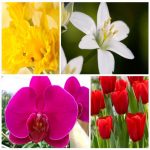 Dịch vụ kế toán tại Huyện Hoài Đức tỉnh Hà Nội 6 Dịch vụ kế toán tại Huyện Hoài Đức