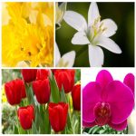 Dịch vụ kế toán tại Huyện Mê Linh tỉnh Hà Nội 6 Dịch vụ kế toán tại Huyện Mê Linh