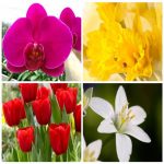 Dịch vụ kế toán tại Huyện Phú Xuyên tỉnh Hà Nội 6 Dịch vụ kế toán tại Huyện Phú Xuyên