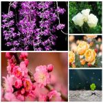 Dịch vụ kế toán tại Quận 6 tỉnh TPHCM 6 Dịch vụ kế toán tại Quận 6