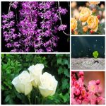 Dịch vụ kế toán tại Quận 9 tỉnh TPHCM 6 Dịch vụ kế toán tại Quận 9