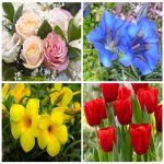 Dịch vụ kế toán tại Quận Ba Đình tỉnh Hà Nội 6 Dịch vụ kế toán tại Quận Ba Đình