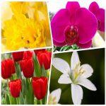 Dịch vụ kế toán tại Quận Bình Thạnh tỉnh TPHCM 6 Dịch vụ kế toán tại Quận Bình Thạn