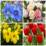 Dịch vụ kế toán tại Quận Cầu Giấy tỉnh Hà Nội 6 Dịch vụ kế toán tại Quận Cầu Giấy