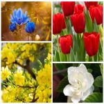 Dịch vụ kế toán tại Quận Hồng Bàng tỉnh Hải Phòng 6 Dịch vụ kế toán tại Quận Hồng Bàng